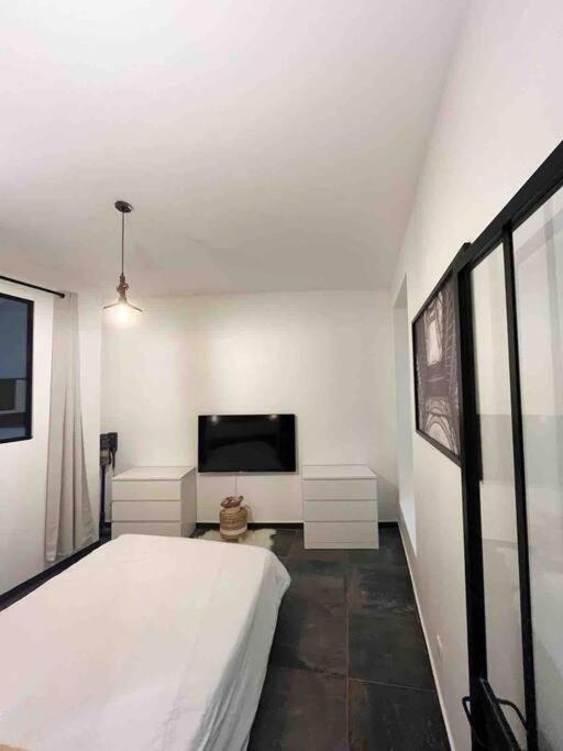 Loft De Courcaille - Balneo - Free Parking - Wifi Lejlighed Orléans Eksteriør billede